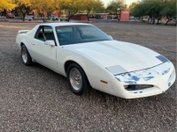 1984 Pontiac Firebird for sale in Michigan (ID-136661)