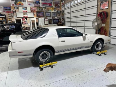 1984 Pontiac Firebird for sale