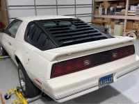 1984 Pontiac Firebird for sale in Michigan (ID-141037)