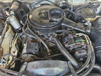 1984 Pontiac Firebird for sale in Michigan (ID-162632)