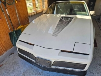 1984 Pontiac Firebird for sale in Michigan (ID-162632)