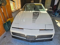 1984 Pontiac Firebird for sale in Michigan (ID-162632)