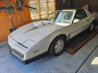 1984 Pontiac Firebird for sale in Michigan (ID-162632)