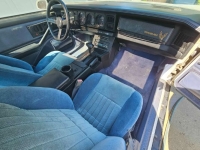 1984 Pontiac Firebird for sale in Michigan (ID-162632)