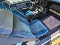 1984 Pontiac Firebird for sale in Michigan (ID-162632)