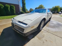 1984 Pontiac Firebird for sale in Michigan (ID-162632)