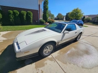 1984 Pontiac Firebird for sale in Michigan (ID-162632)
