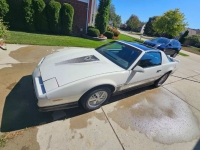 1984 Pontiac Firebird for sale in Michigan (ID-162632)