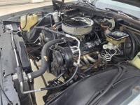 1984 Pontiac Parisienne for sale in Michigan (ID-156115)