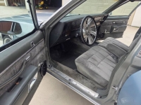 1984 Pontiac Parisienne for sale in Michigan (ID-156115)