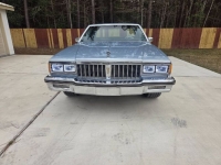 1984 Pontiac Parisienne for sale in Michigan (ID-156115)