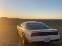 1984 Pontiac Trans Am for sale in Michigan (ID-101434)