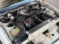 1984 Pontiac Trans Am for sale in Michigan (ID-114799)