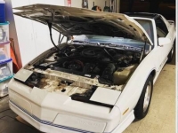 1984 Pontiac Trans Am for sale in Michigan (ID-114799)