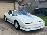 1984 Pontiac Trans Am for sale in Michigan (ID-114799)