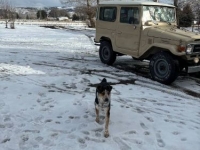1984 Toyota Land Cruiser for sale in Michigan (ID-125909)
