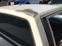 1984 Toyota Pickup for sale in Michigan (ID-137989)