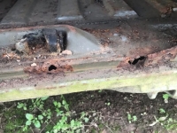 1984 Volkswagen Doka for sale (ID-98896)