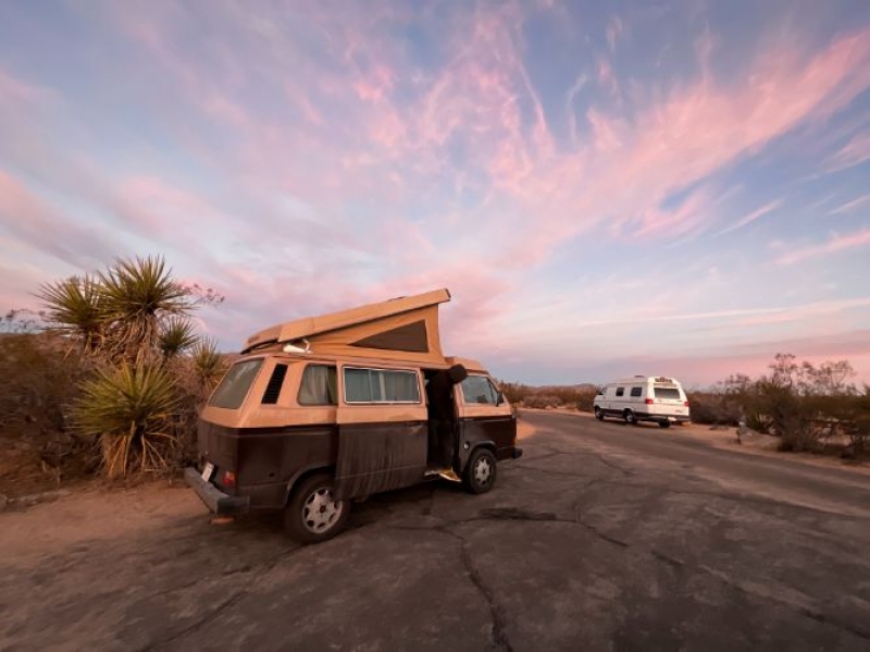 1984 Volkswagen Westfalia for sale in Michigan (ID-111495)
