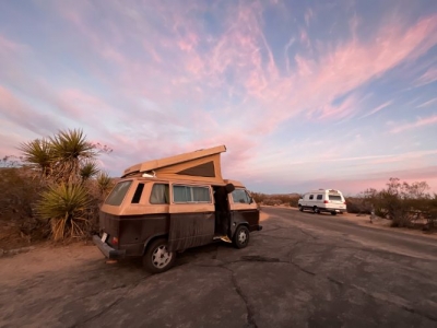 1984 Volkswagen Westfalia for sale