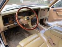1984 Zimmer Golden Spirit for sale in Michigan (ID-123256)