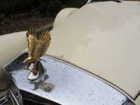 1984 Zimmer Golden Spirit for sale in Michigan (ID-123256)