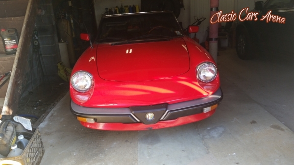 1985 Alfa Romeo Graduate for sale in Sayreville, New Jersey (ID-10619)