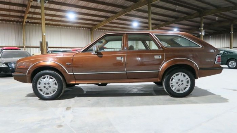 1985 AMC Eagle for sale in Michigan (ID-79583)