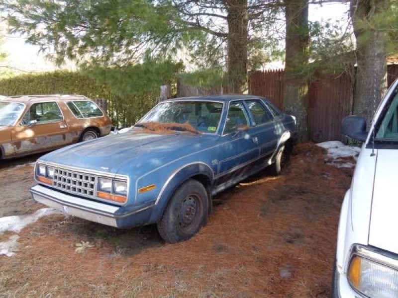 1985 AMC Eagle for sale in Michigan (ID-87676)