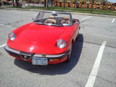 1985 Alfa Romeo Spider for sale