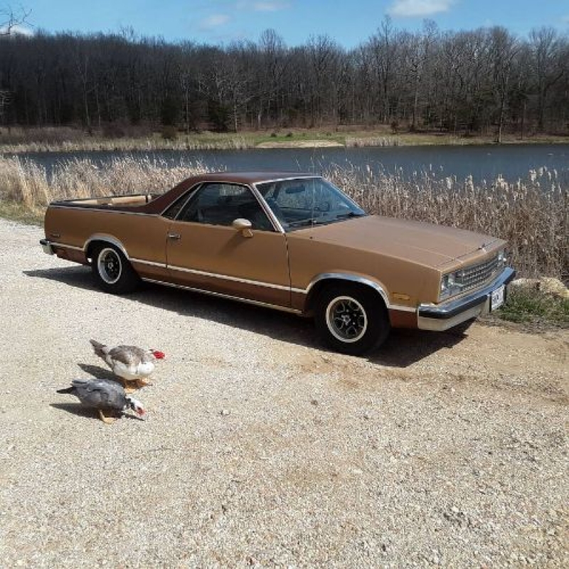 1985 Chevrolet El Camino for sale in Michigan (ID-89640) 1985 Chevrolet El Camino for sale in Michigan (ID-89640)