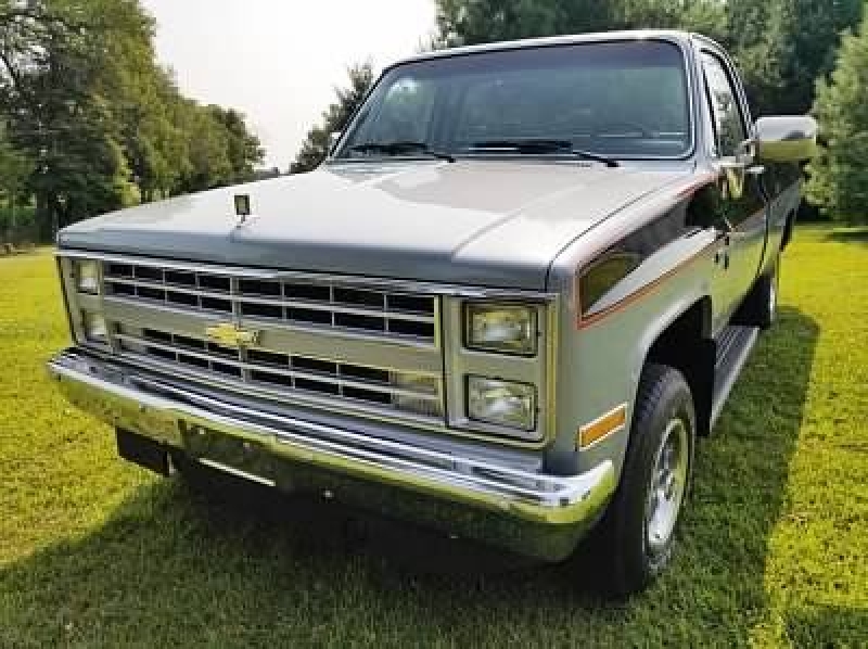 1985 Chevrolet C10 for sale in Michigan (ID-91808)