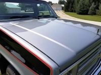 1985 Chevrolet C10 for sale in Michigan (ID-91808)
