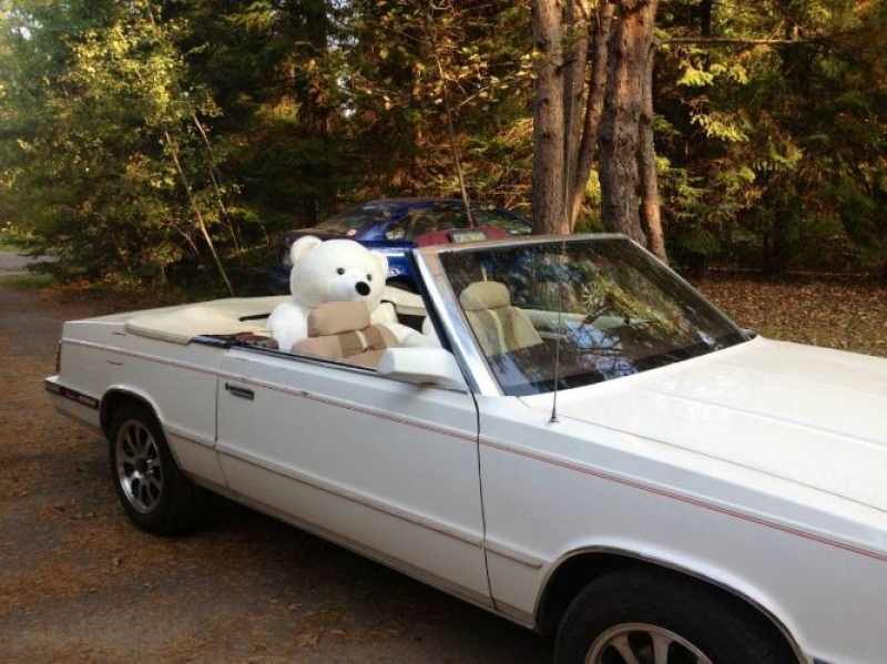 1985 Chrysler LeBaron for sale in Michigan (ID-92440) 1985 Chrysler LeBaron for sale in Michigan (ID-92440)