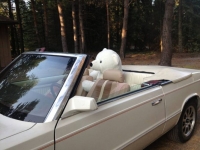 1985 Chrysler LeBaron for sale in Michigan (ID-92440)
