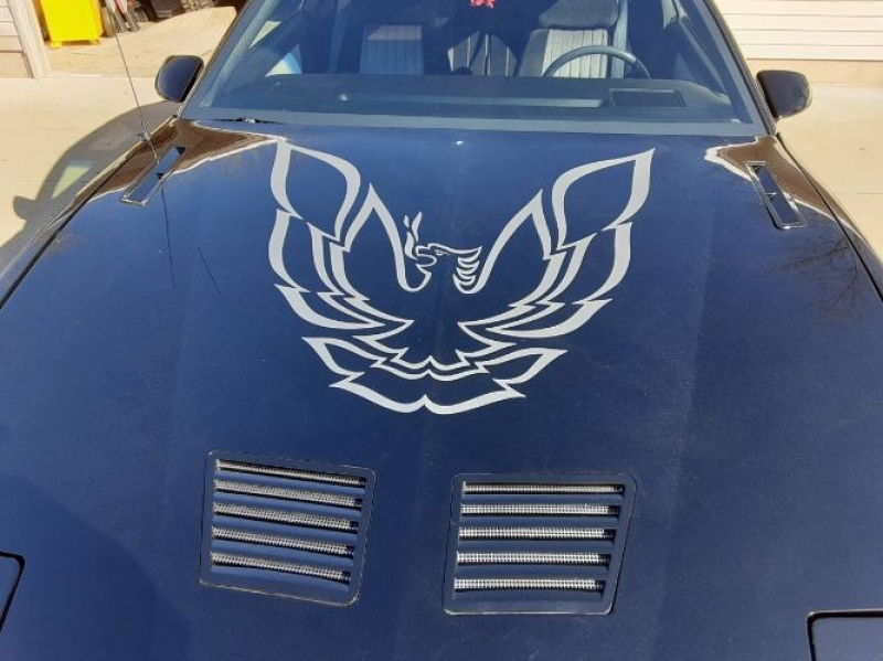 1985 Pontiac Trans Am for sale in Michigan (ID-87591) 1985 Pontiac Trans Am for sale in Michigan (ID-87591)