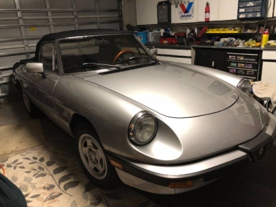 1985 Alfa Romeo Spider for sale