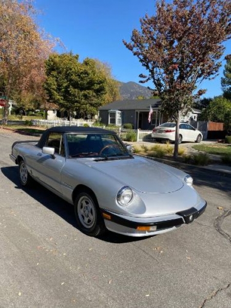 1985 Alfa Romeo Spider for sale in Michigan (ID-110084) 1985 Alfa Romeo Spider for sale in Michigan (ID-110084)