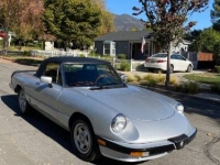 1985 Alfa Romeo Spider for sale in Michigan (ID-110084)