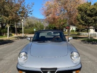 1985 Alfa Romeo Spider for sale in Michigan (ID-110084)