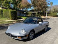 1985 Alfa Romeo Spider for sale in Michigan (ID-110084)