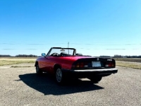 1985 Alfa Romeo Spider for sale in Michigan (ID-126581)