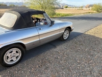 1985 Alfa Romeo Spider Veloce for sale in Michigan (ID-161186)