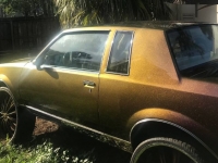 1985 Buick Regal for sale in Michigan (ID-112404)