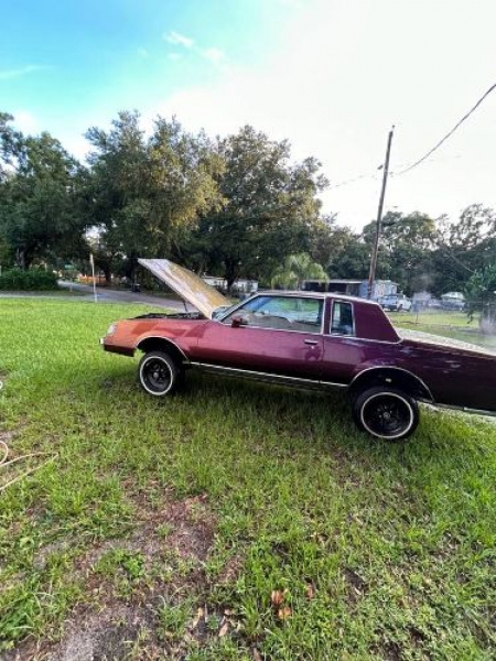 1985 Buick Regal for sale in Michigan (ID-119517) 1985 Buick Regal for sale in Michigan (ID-119517)