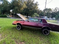 1985 Buick Regal for sale in Michigan (ID-119517)