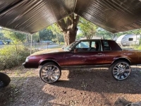 1985 Buick Regal for sale in Michigan (ID-119517)