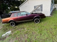 1985 Buick Regal for sale in Michigan (ID-119517)