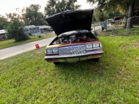 1985 Buick Regal for sale in Michigan (ID-119517)