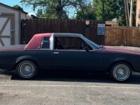 1985 Buick Regal for sale in Michigan (ID-133638)